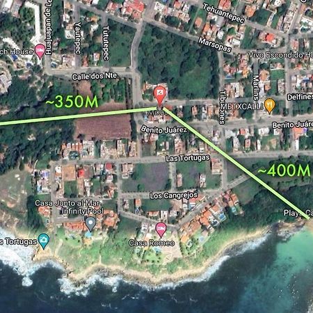 Studio -Trees At Mikasa- Near Beach, Pool, Fast Wifi, Ac & King Bed Puerto Escondido  Extérieur photo