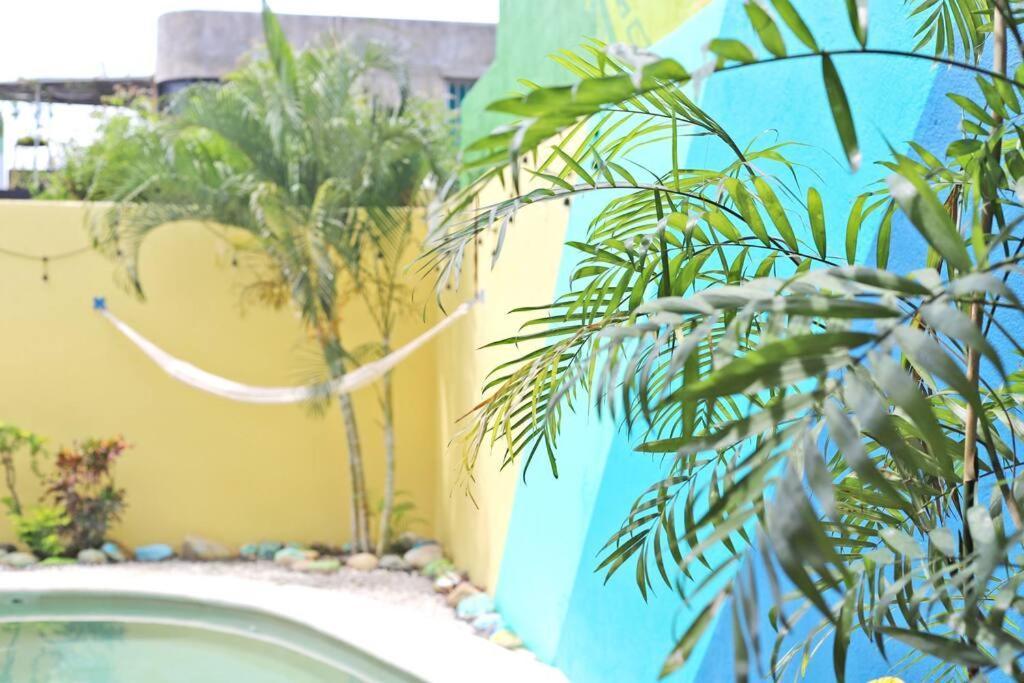 Studio -Trees At Mikasa- Near Beach, Pool, Fast Wifi, Ac & King Bed Puerto Escondido  Extérieur photo